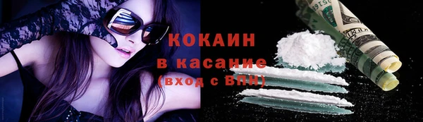 индика Белокуриха