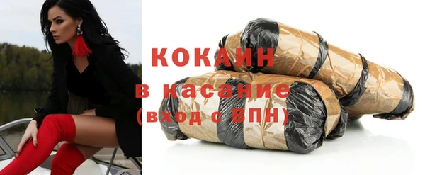 индика Белокуриха