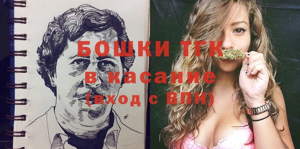 индика Белокуриха