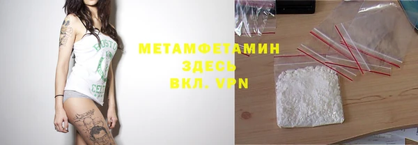 индика Белокуриха