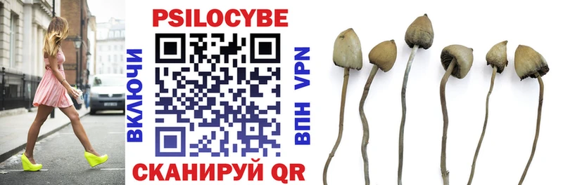 Галлюциногенные грибы Psilocybine cubensis Покровск